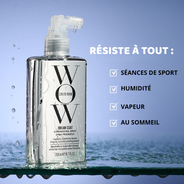 Dream Coat™ – L’arme secrète pour des cheveux lisses et lumineux